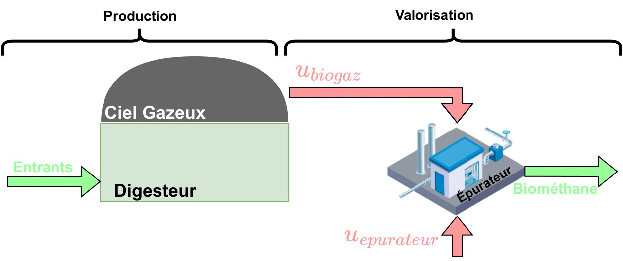 Anaerobic digestion and biogas upgrading process